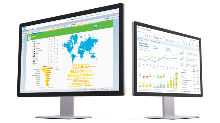 BUSINESS INTELLIGENCE SAP