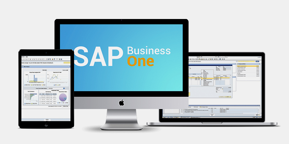 Tipos de Licenças SAP Business One